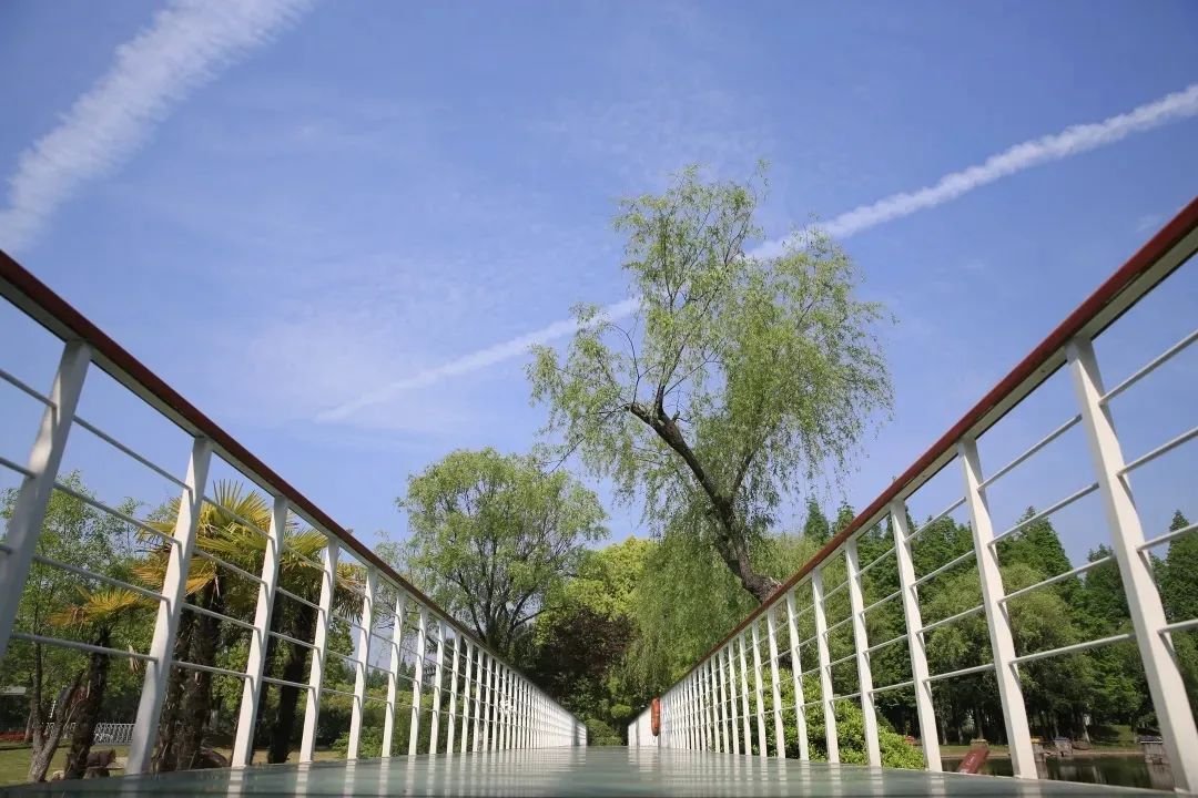 1703155422644005.jpg 640.jpg