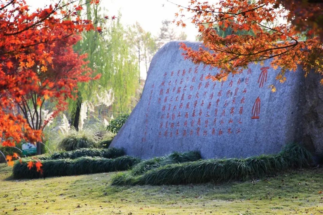 1703155443230609.jpg 640 (10).jpg